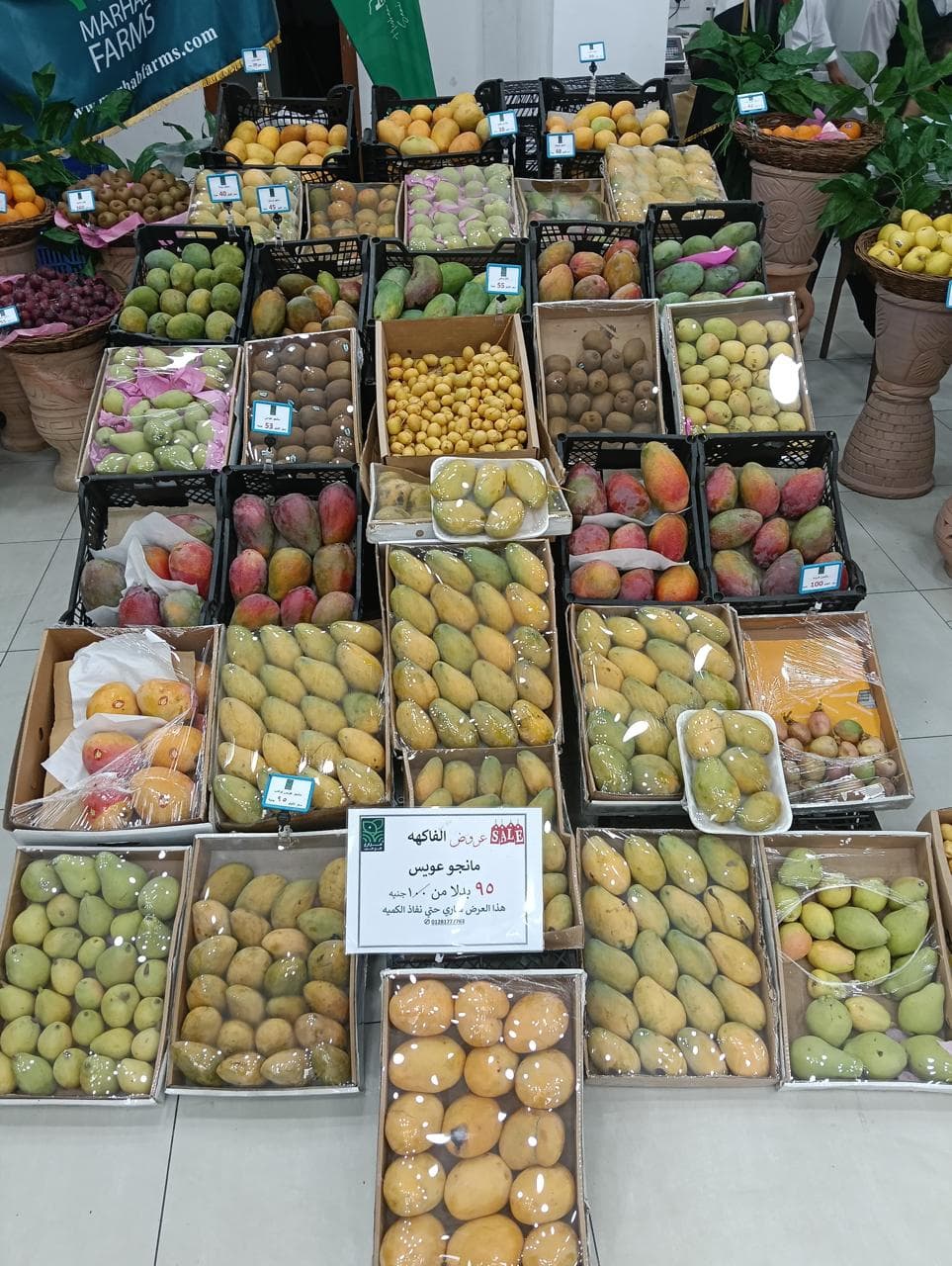 marhab farms